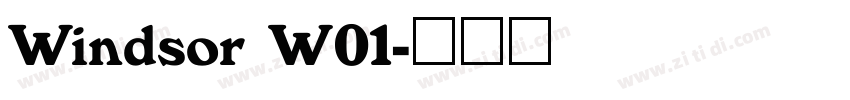 Windsor W01字体转换